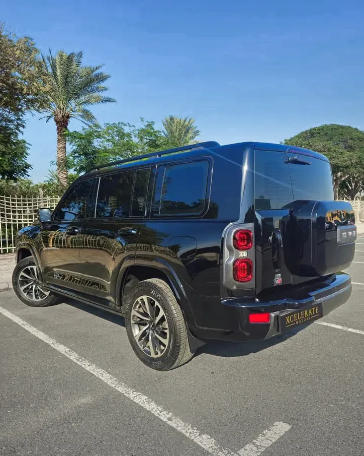 2025 Haval H9 photo 5