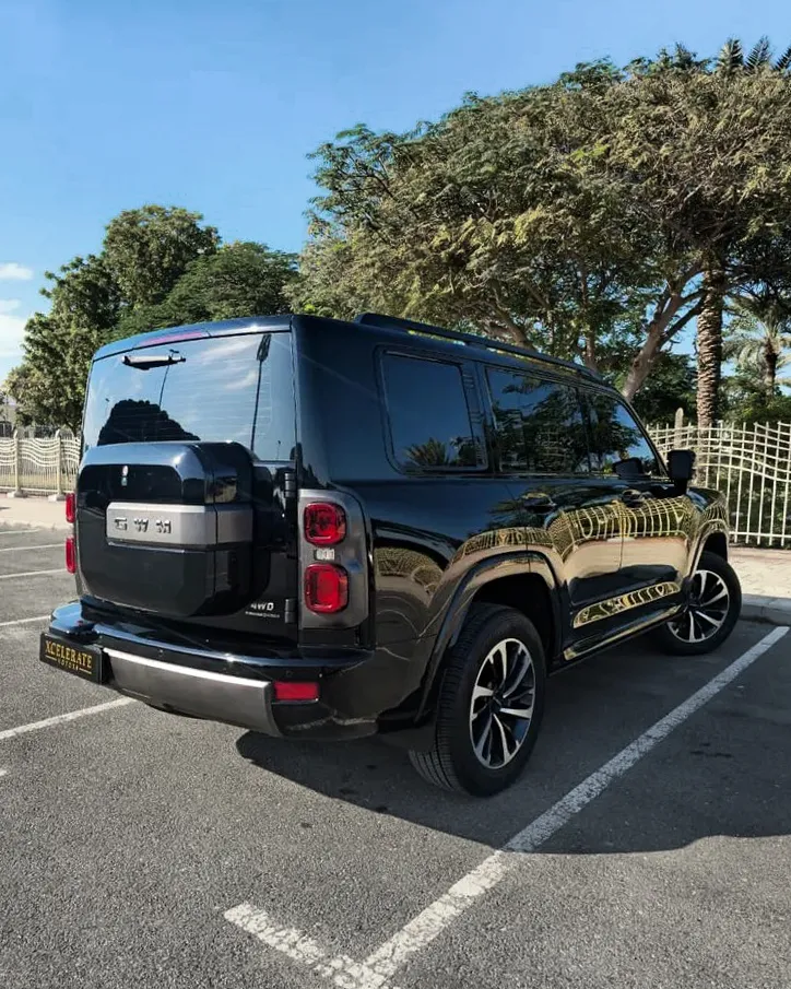 2025 Haval H9 photo 6